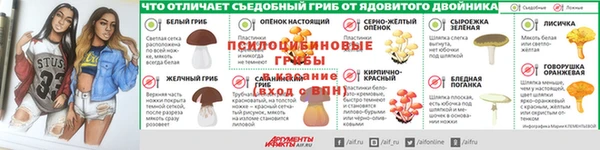 дживик Михайловск
