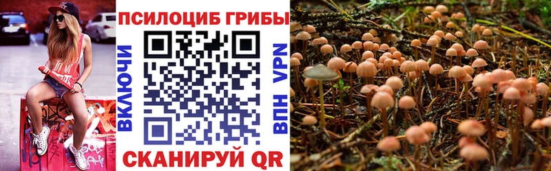 Галлюциногенные грибы Psilocybe  Красноуральск 